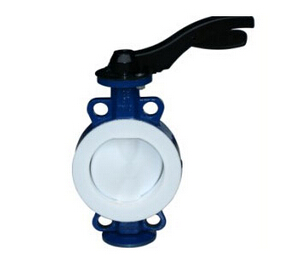 草莓破解版下载