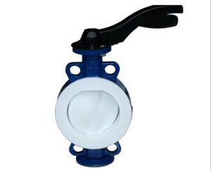 草莓破解版下载