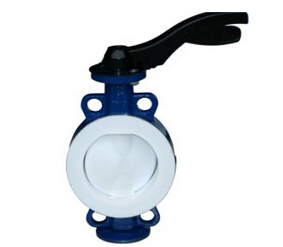 草莓破解版下载