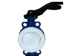 草莓破解版下载