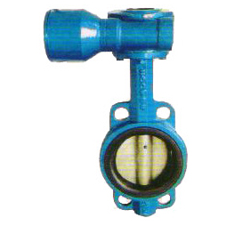 草莓破解版下载气动草莓破解版下载