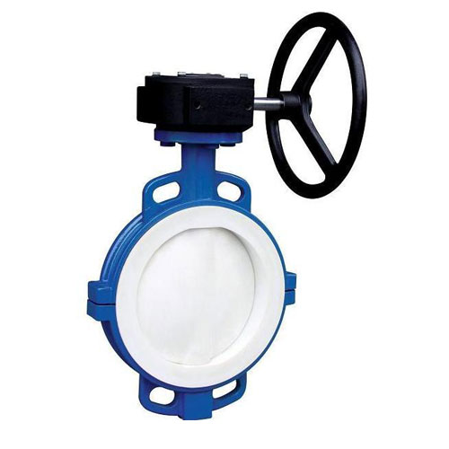 草莓破解版下载模压工艺