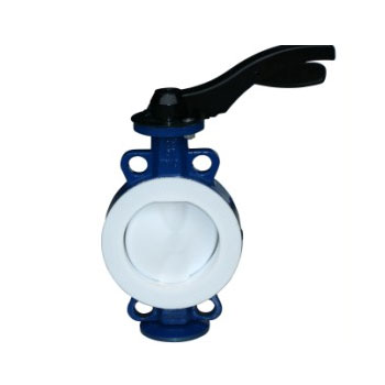 草莓破解版下载
