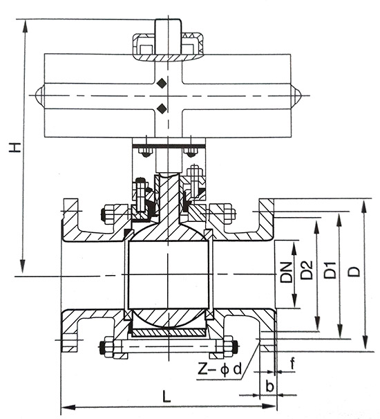 D971F46-16C草莓破解版下载
